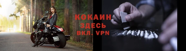 молекула духа Козловка