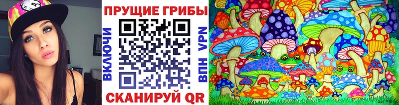 Псилоцибиновые грибы Cubensis  blacksprut ТОР  Кондопога 
