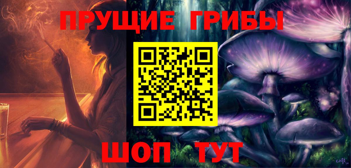 Галлюциногенные грибы Psilocybe  Вход с VPN  где можно купить наркотик  Кондопога 