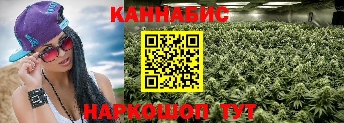 МАРИХУАНА конопля Кондопога
